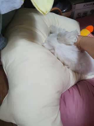 뽀오오옹님이 올린 리뷰 사진 2