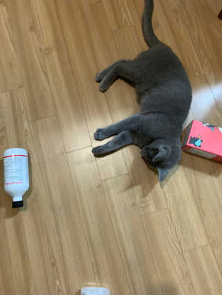 꼬말론맘님이 올린 리뷰 사진 3