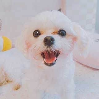 고옹파알리이터어님이 올린 리뷰 사진 3