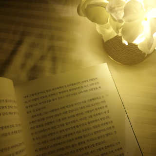 꿀상아님이 올린 리뷰 사진 4