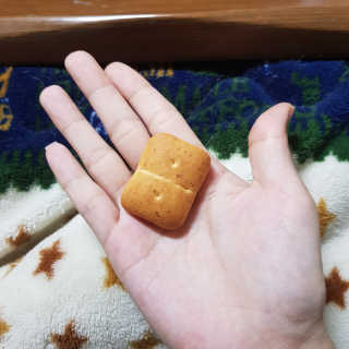 마켓오 빵둥이 15봉지 — 5점을 준 리뷰어가 2020년 11월 올린 사용 사진