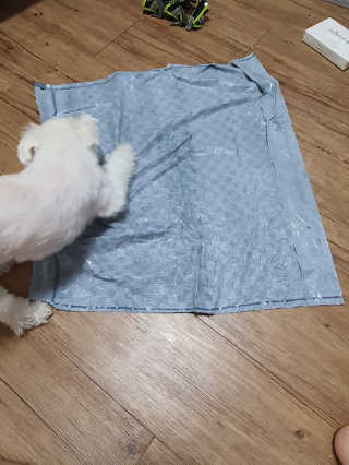 뽀오오옹님이 올린 리뷰 사진 4