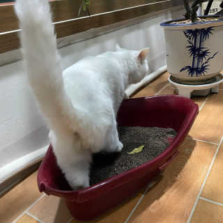 뉸뉸냔냐님이 올린 리뷰 사진 2