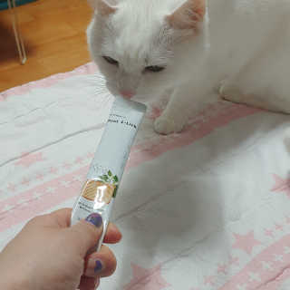 라온시연님이 올린 리뷰 사진 2