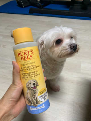 김주은님이 올린 리뷰 사진 2