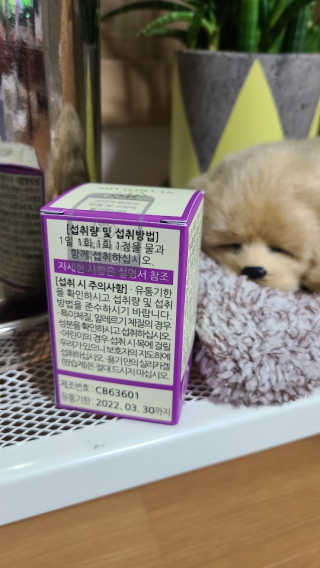 sunny님이 올린 리뷰 사진 2