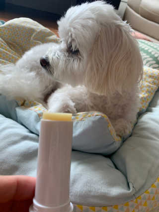 urooy님이 올린 리뷰 사진 1