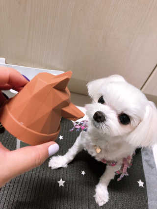 뚜덩맘님이 올린 리뷰 사진 2