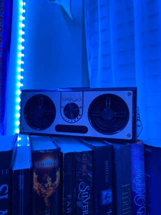 SEVIZ RETRO20W 레트로 블루투스 스피커 — 5점을 준 리뷰어가 2020년 10월 올린 사용 사진