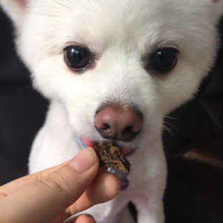 0ee님이 올린 리뷰 사진 3