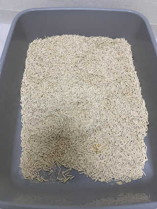 민댕댕이님이 올린 리뷰 사진 2