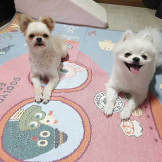 윤히포님이 올린 리뷰 사진 1