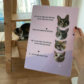앙주비님이 올린 리뷰 사진 1