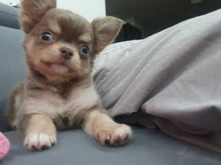 김선아님이 올린 리뷰 사진 2