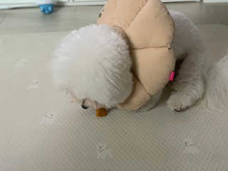 용용맹님이 올린 리뷰 사진 4