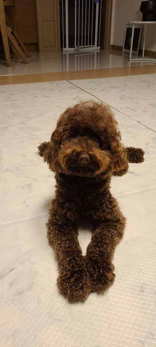 콜라네님이 올린 리뷰 사진 4