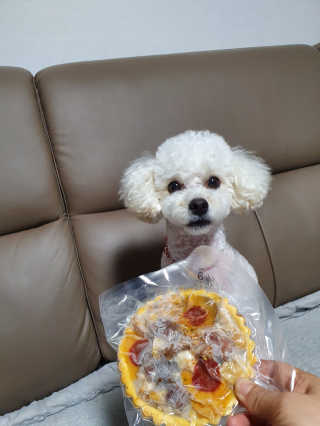 호두맘님이 올린 리뷰 사진 1