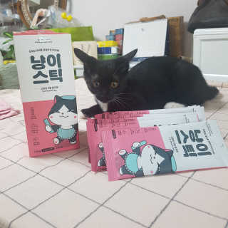 또히츄님이 올린 리뷰 사진 2