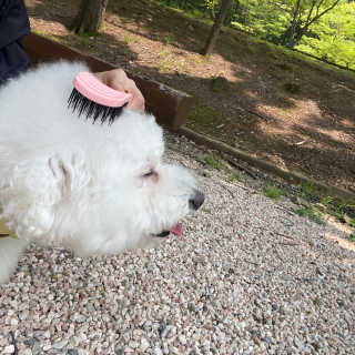 쏨님이 올린 리뷰 사진 2