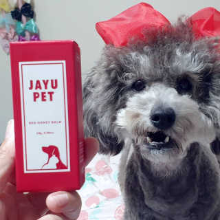 [레드허니밤]자유펫 고양이 강아지 발바닥 밤 14g — 5점을 준 리뷰어가 2020년 7월 올린 사용 사진