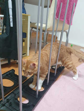 뿌엑이님이 올린 리뷰 사진 2