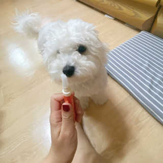 더펫원츠 [5초양치] 멍.치카펜 or 냥.치카펜 or 치카오일펜 — 5점을 준 리뷰어가 2020년 5월 올린 사용 사진