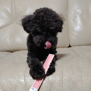 apple님이 올린 리뷰 사진 3