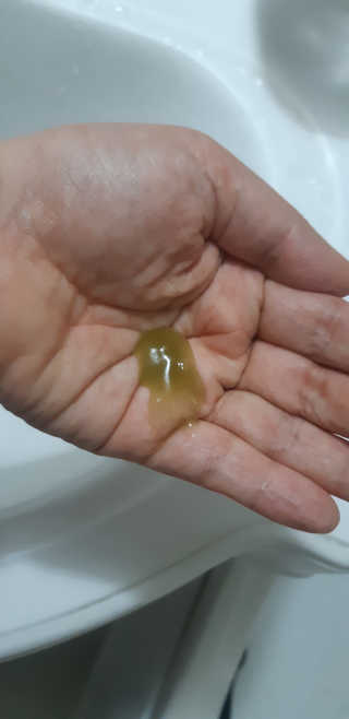 새돌댕댕님이 올린 리뷰 사진 4