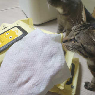 이째님이 올린 리뷰 사진 4