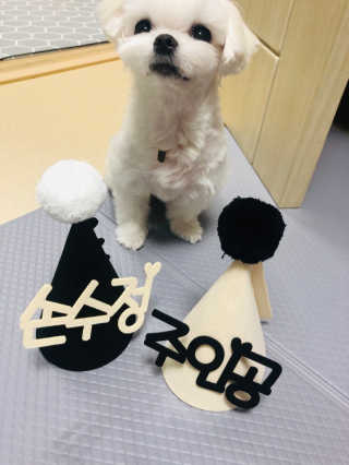뚜덩맘님이 올린 리뷰 사진 2