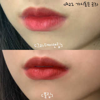 도히님이 올린 리뷰 사진 2