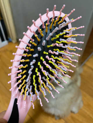 아이캔디 레인보우 볼륨S  브러쉬 for PET 미디엄 — 5점을 준 리뷰어가 2020년 11월 올린 사용 사진