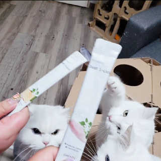 [펫토리아] 건강하게 리뉴얼된 NEW 짜먹는 한입뚝딱 — 5점을 준 리뷰어가 2020년 4월 올린 사용 사진