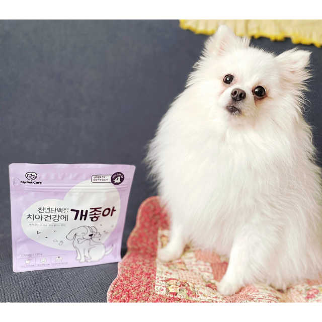 천연단백질 치아건강에 개좋아 리뷰 사진