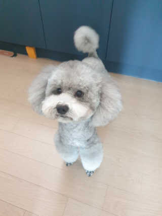 디카페인님이 올린 리뷰 사진 4