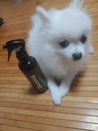 이누닷님이 올린 리뷰 사진 3