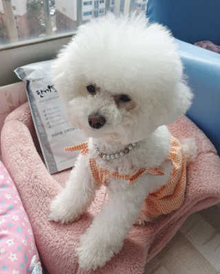 HyeokYoon님이 올린 리뷰 사진 1