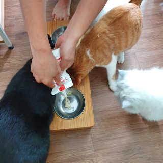 여원하게님이 올린 리뷰 사진 4