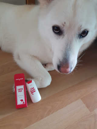 [레드허니밤]자유펫 고양이 강아지 발바닥 밤 14g — 5점을 준 리뷰어가 2020년 7월 올린 사용 사진
