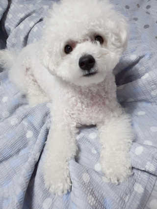 짬뽕이누나님이 올린 리뷰 사진 4