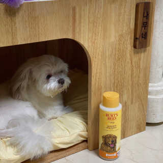 쫑구리님이 올린 리뷰 사진 1