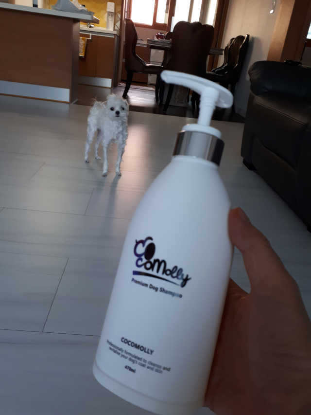 예민한 피부를 위한 코코몰리 All in one 자연유래 샴푸 리뷰 사진