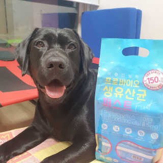 헬스업 핼스업 프로바이오 생유산균 퍼스트 — 5점을 준 리뷰어가 2020년 10월 올린 사용 사진