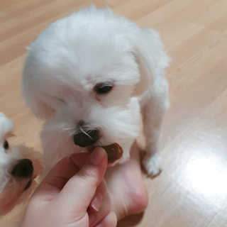숮이님이 올린 리뷰 사진 4