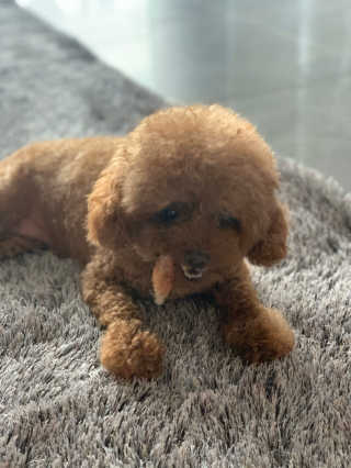 쩐님이 올린 리뷰 사진 2