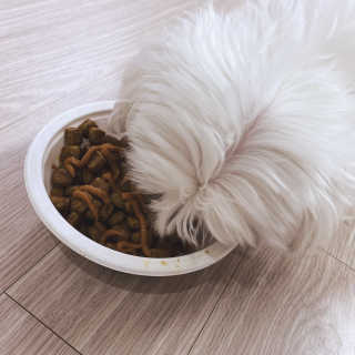새초미님이 올린 리뷰 사진 2