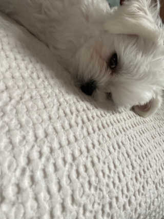 chuchuchu님이 올린 리뷰 사진 4
