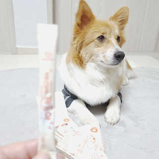 My Pet Care 모발과 모질 피부건강에 개좋아 — 2점을 준 리뷰어가 2020년 12월 올린 사용 사진