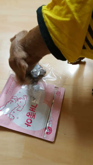 My Pet Care 천연단백질 관절건강에 개좋아 — 5점을 준 리뷰어가 2020년 11월 올린 사용 사진