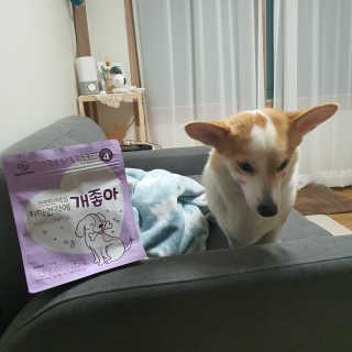 My Pet Care 천연단백질 치아건강에 개좋아 — 5점을 준 리뷰어가 2020년 11월 올린 사용 사진